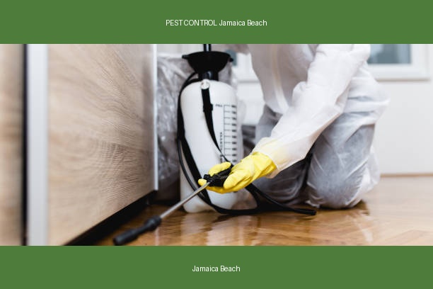 PEST CONTROL Jamaica Beach